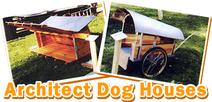 Dog Houses By Architect