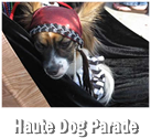 Haute Dog Howl’oween Parade